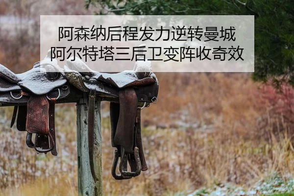 a-sen-na-hou-cheng-fa-li-ni-zhuan-man-cheng-a-er-te-ta-san-hou-wei-bian-zhen-shou-qi-xiao-1-929.jpg