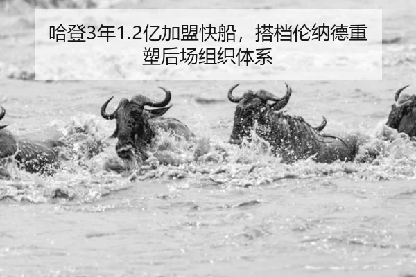 ha-deng-nian-yi-jia-meng-kuai-chuan-da-dang-lun-na-de-zhong-su-hou-chang-zu-zhi-ti-xi-3-808.jpg